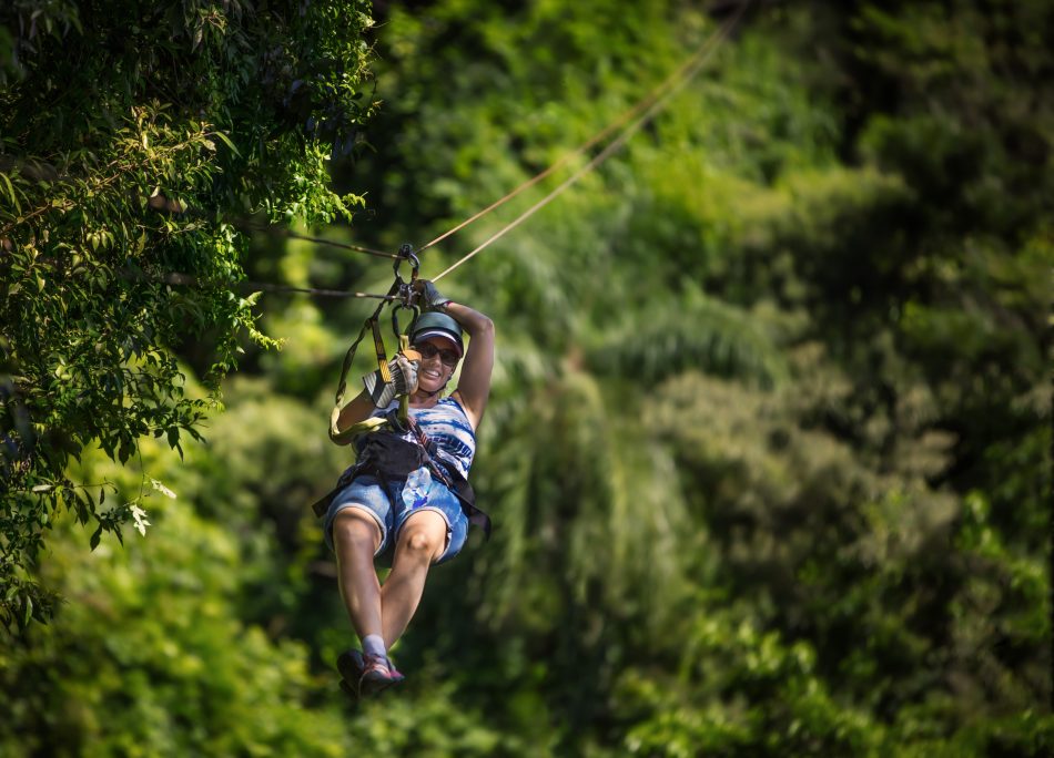 Zipline