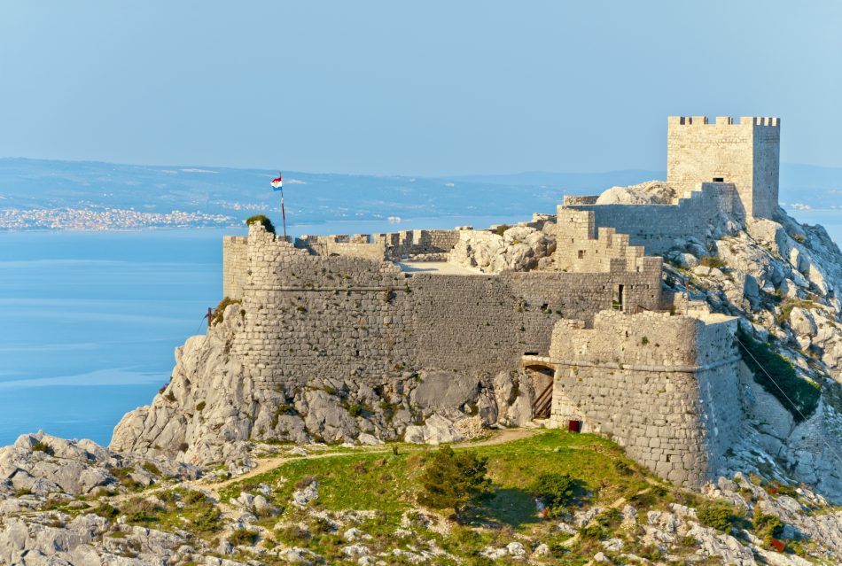 Fortica_omis
