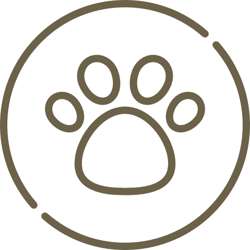 Pet friendly